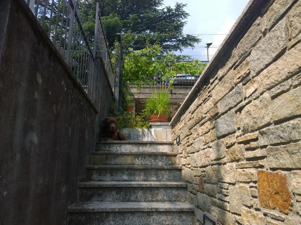 Ferienwohnung Venanzio! Pianello Del Lario Exterior foto