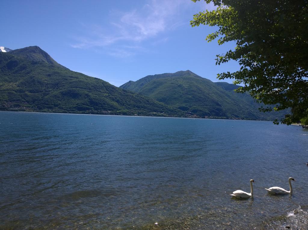 Ferienwohnung Venanzio! Pianello Del Lario Exterior foto